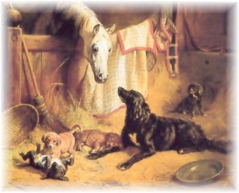 Hundefamilie mit altem Gaul